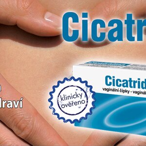 Cicatridina Cicatridina