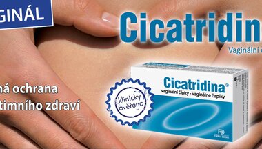 Cicatridina Cicatridina